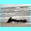 04_Baltyk_2010.jpg