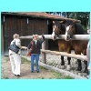 31_Bild.jpg