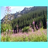 28_Zakopane.jpg