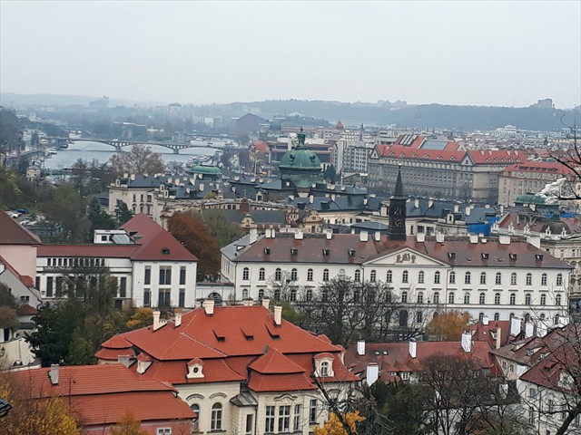 20171110_143212(0)