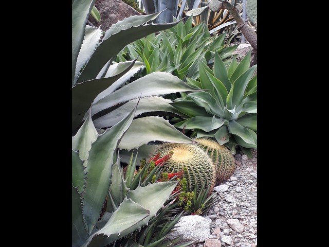 20170906_115434