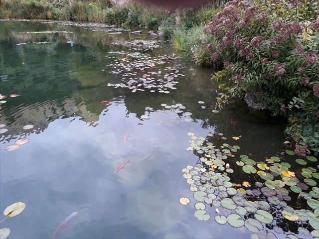 20170906_120126