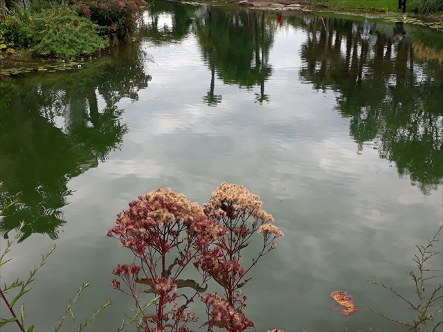 20170906_120751