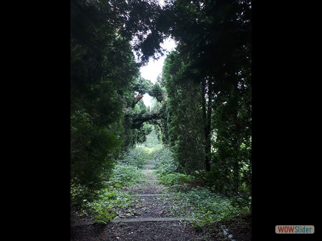 20180816_141613