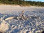 20180726_202514
